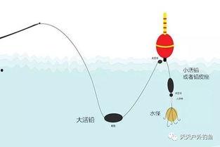 爆料鲢鳙钓法视频教程,视频教程深度解析  第3张